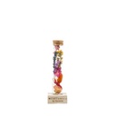 Dried Flower - Wish bottle - Multi