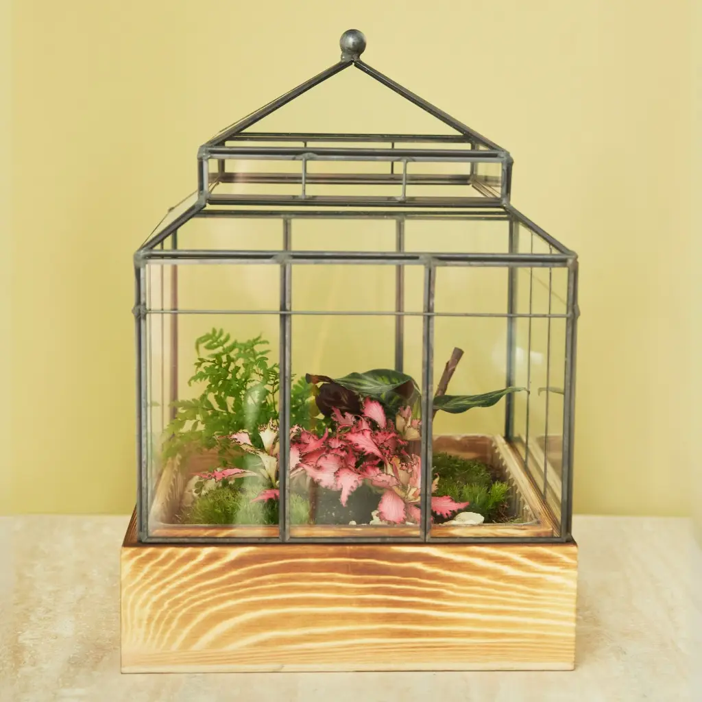 Terrarium Botanica (1).webp