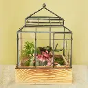 Terrarium Botanica (1).webp