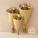 Discovery start pack.webp