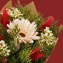 Classic Small (3).webp