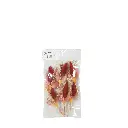 FLR94422 (2).webp