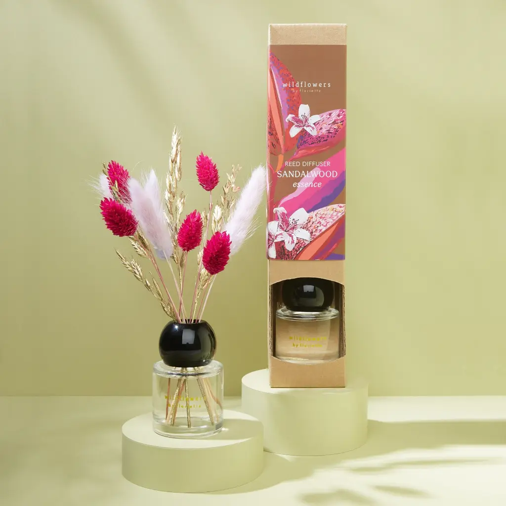 Home - SE Diffuser.webp