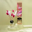 Home - SE Diffuser.webp