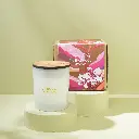 Home - SE Candle.webp