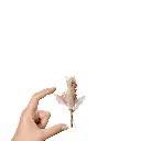 FLR128412 (3).webp