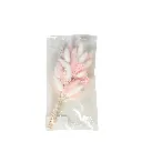 FLR92822 (2).webp