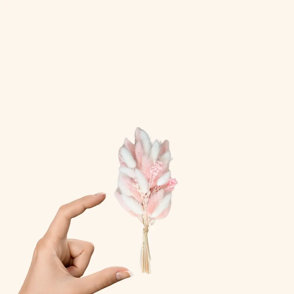 FLR92822 (3).webp