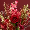 CM30-XL-REDR (4).webp