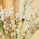 FB30-L-HONB (3).webp