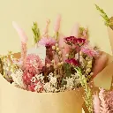 FB30-M-PJOY.webp