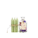 BV-GIFT-M (3).webp