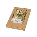 FLB50-N.webp