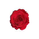 RST2200 (3).webp