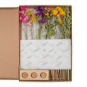 Flowers in Letterbox with Vases - Multi