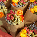 Dried Flower - Market More Bouquet - Orange