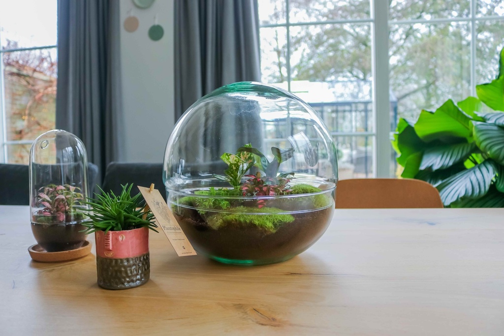 Terrarium Brussels sfeer 2