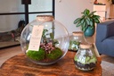 Terrarium Paris XL sfeer