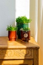 POTS ONLY - Luxury glass green & brown