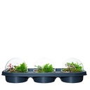 Terrarium Biarritz