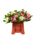 Protea Artificial Soft Touch 40cm - White