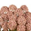 Allium Spray Artificial 62cm - Lilac
