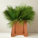 Chamaedorea Artificial spray 75cm green 