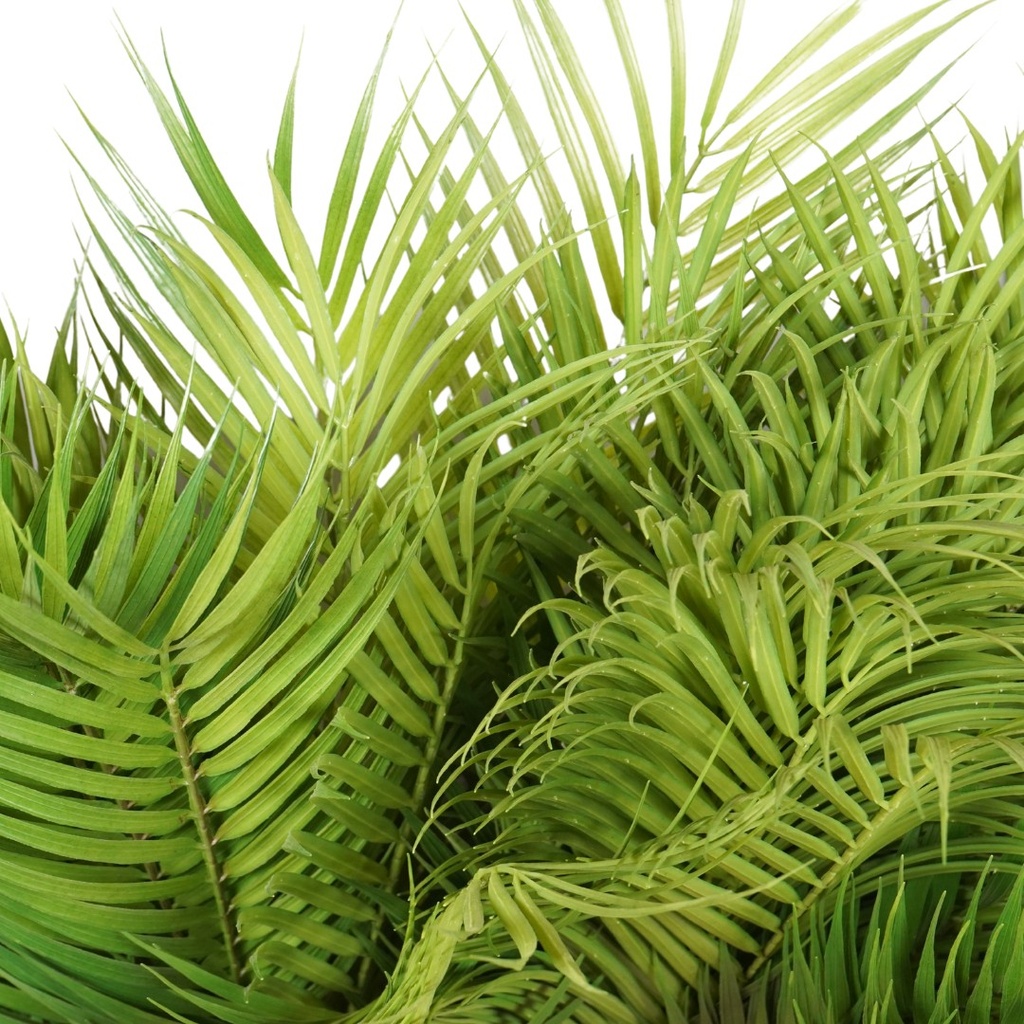 Chamaedorea Artificial spray 75cm green 