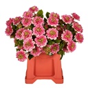 Dahlia Artificial spray x3 pink 60cm