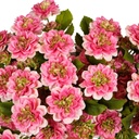 Dahlia Artificial spray x3 pink 60cm