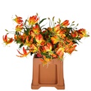 Gloriosa Artificial L92cm Orange