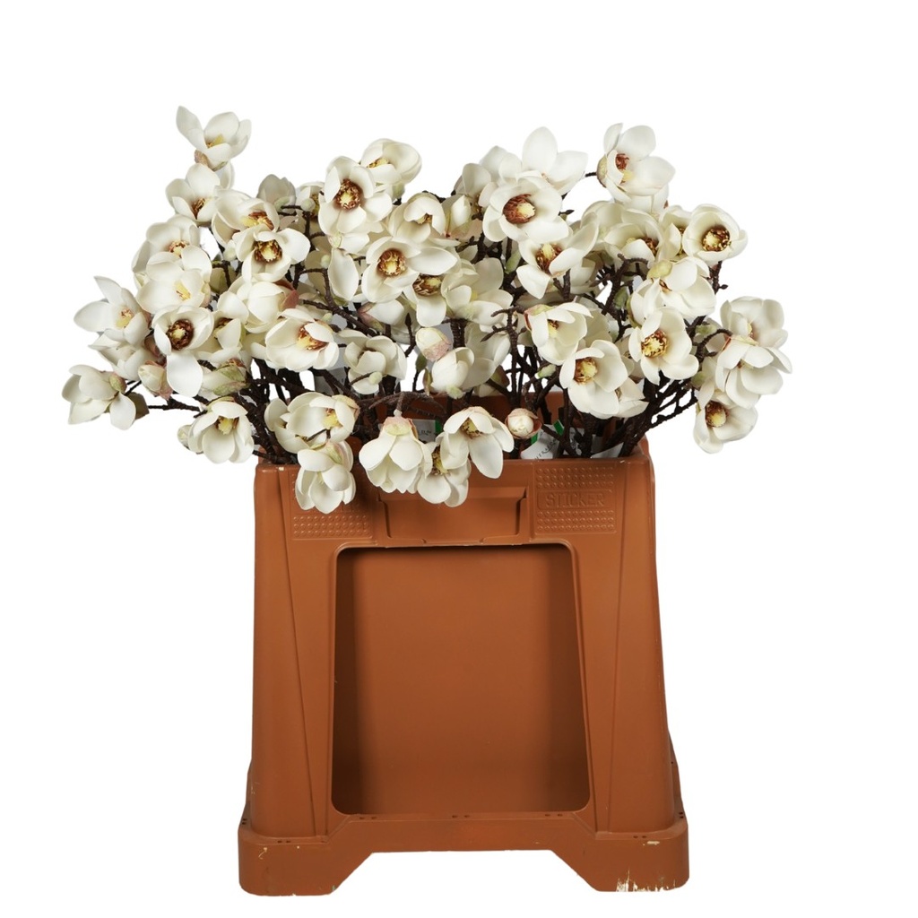 Magnolia Artificial mini branch cream 65cm