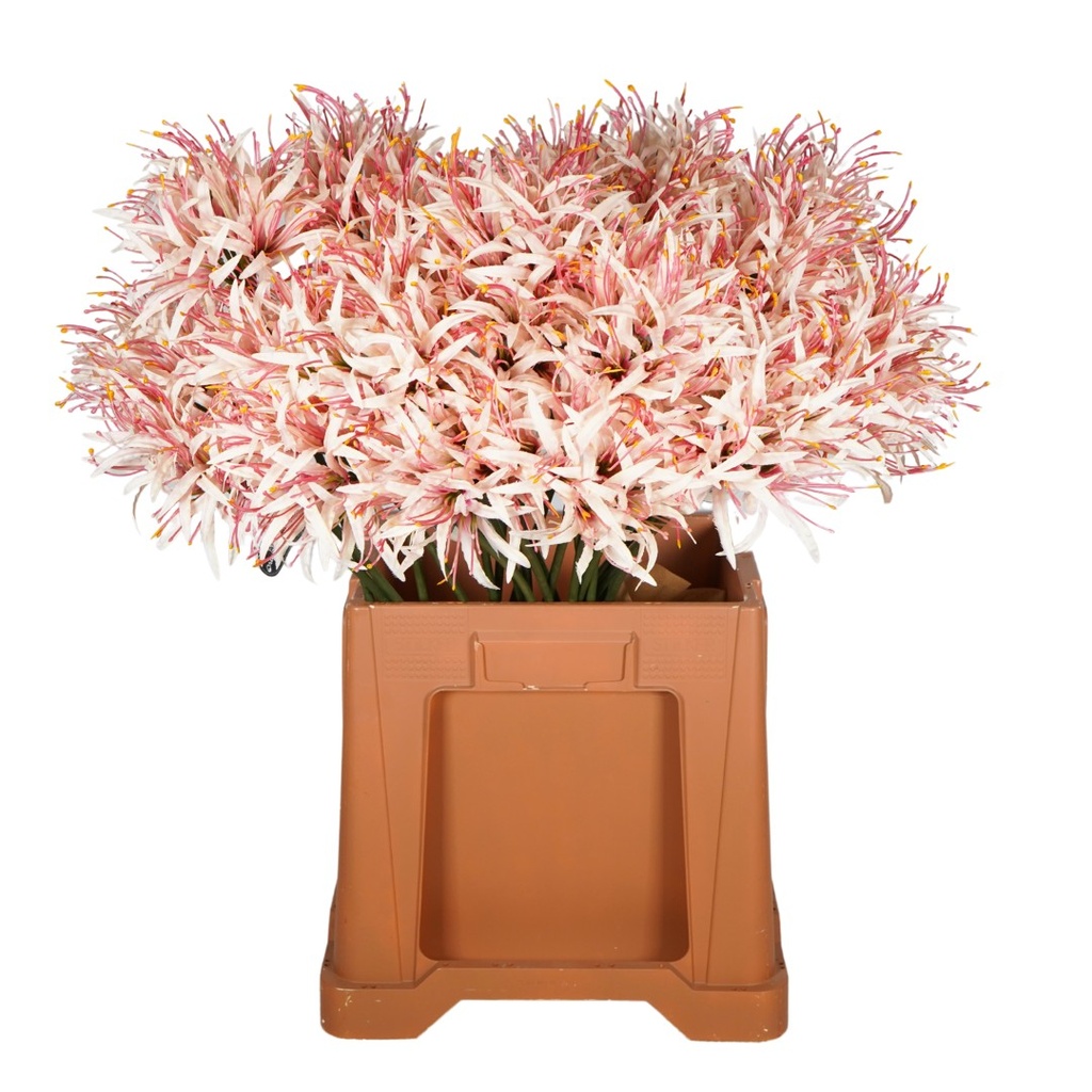 Nerine Artificial L85cm L.Pink