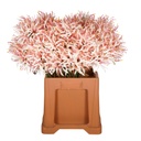 Nerine Artificial L85cm L.Pink