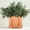 Olive Branch Artificial 75cm