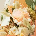 Romantic Medium - Peach Perfect (2).webp