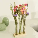 Letterbox (15).webp