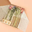 Letterbox (8).webp