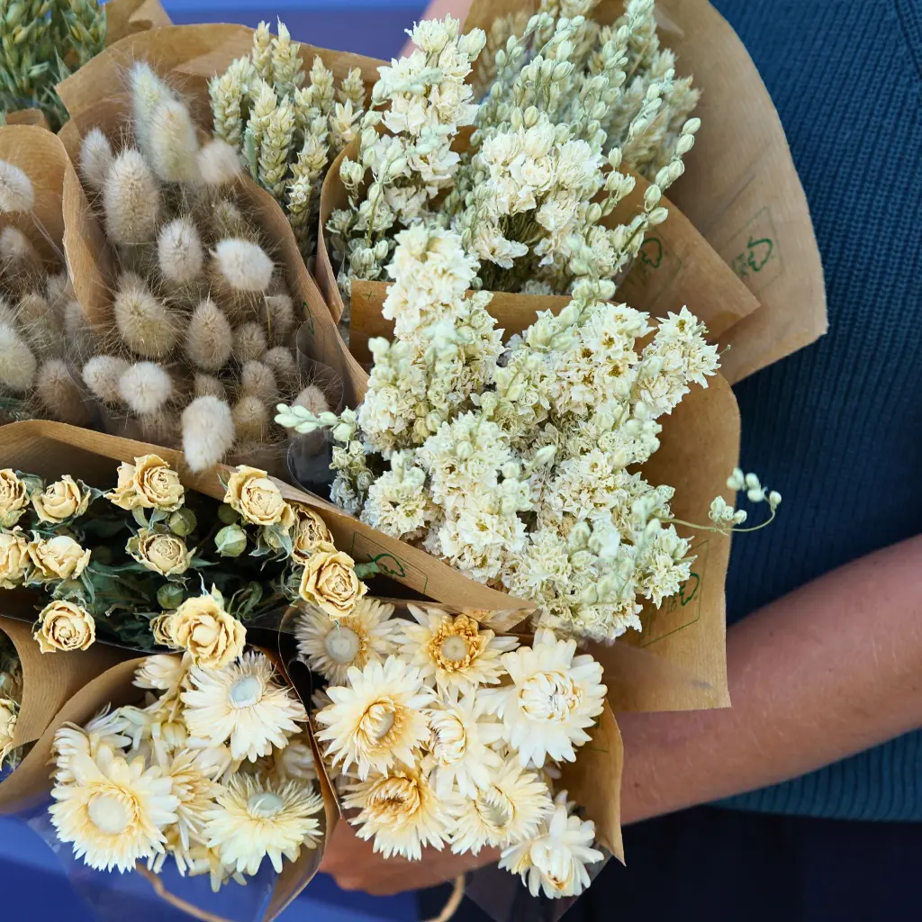 Mono (9) Natural.webp