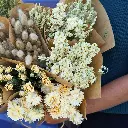 Mono (9) Natural.webp