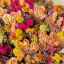 Market More - Summer Crush (2).webp