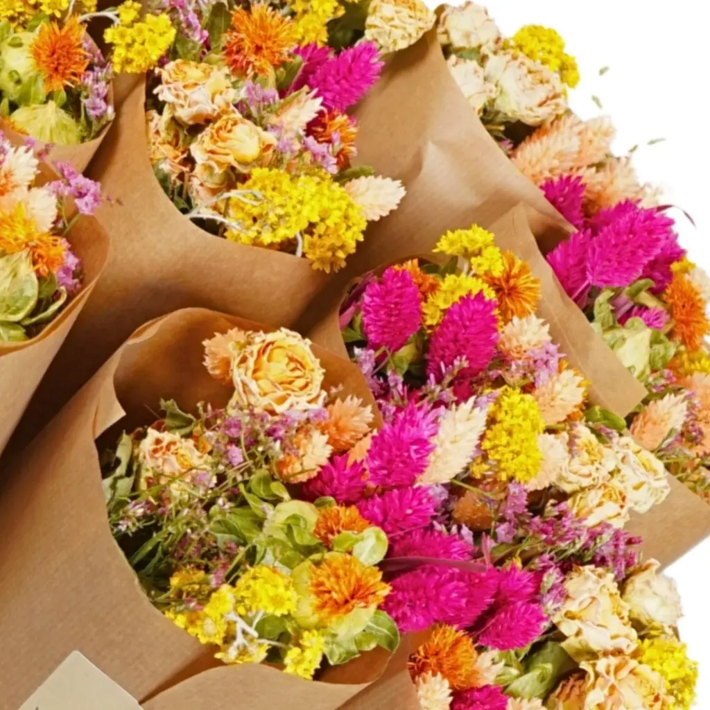 Market More - Summer Crush (1).webp