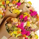 Market More - Summer Crush (1).webp