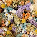 Market More - Pastel Delight (2).webp