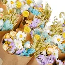 Market More - Pastel Delight (1).webp