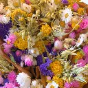 Market More - Dutch (2).webp