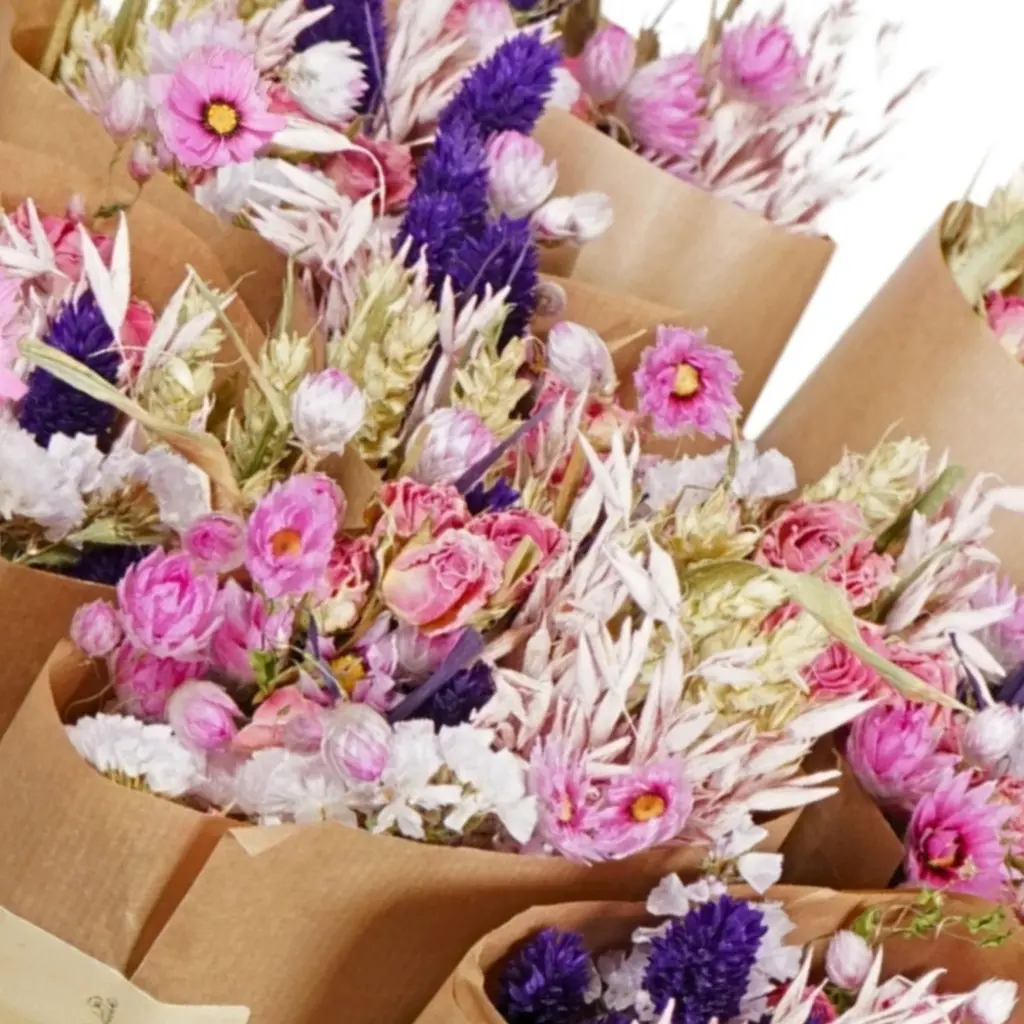 Market More - Purple Glow (1).webp