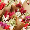 Market More - Red Allure.webp