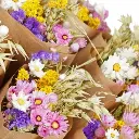 Market More - Dutch (1).webp