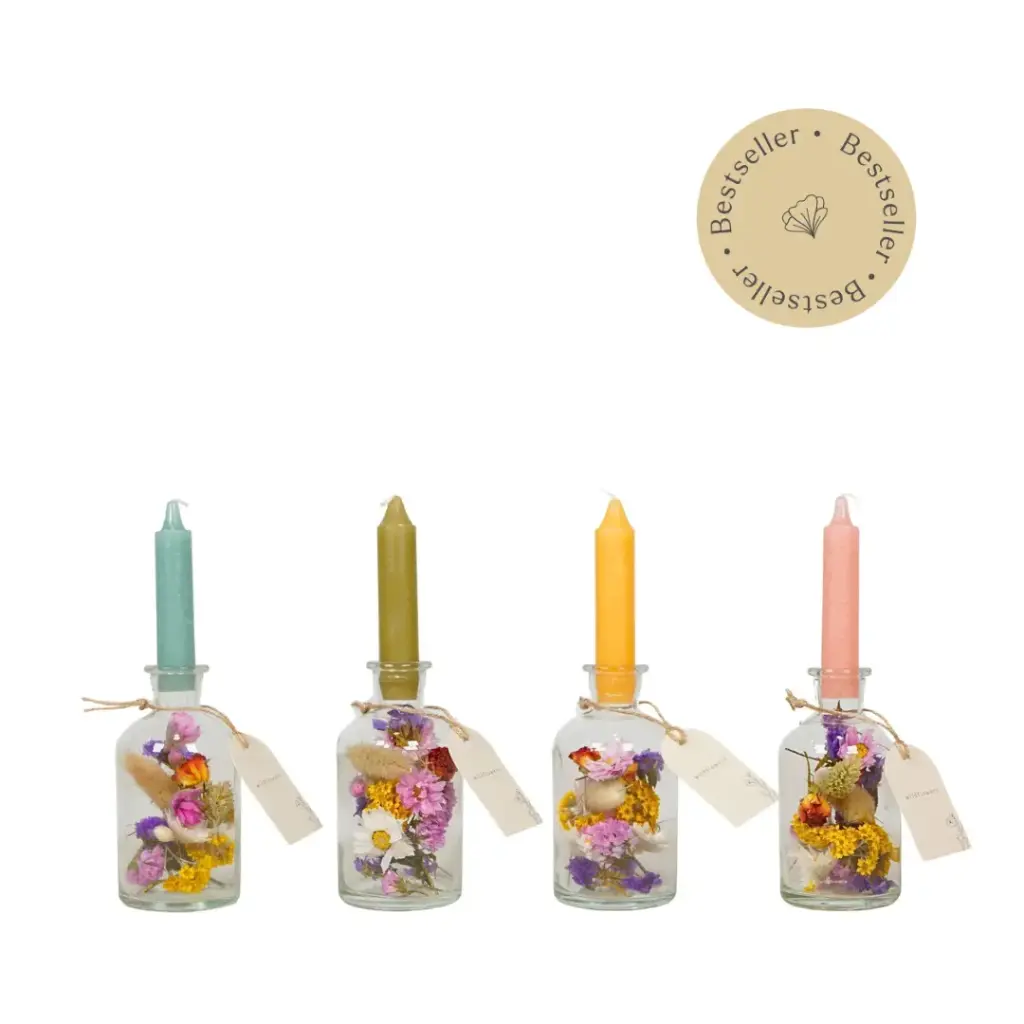 Dried Flower - Brightness vase - Multi